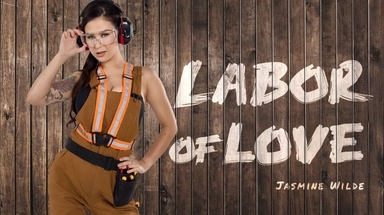 BaDoinkVR Labor of Love - Removed